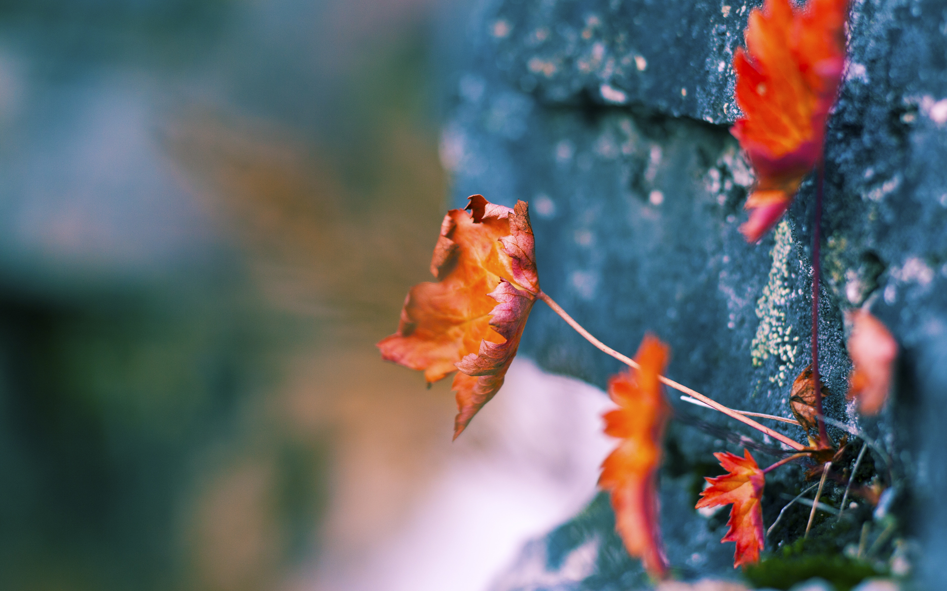 九游体育app下载-中国女篮防守稳健 多次化解对手攻势,中国女篮真棒