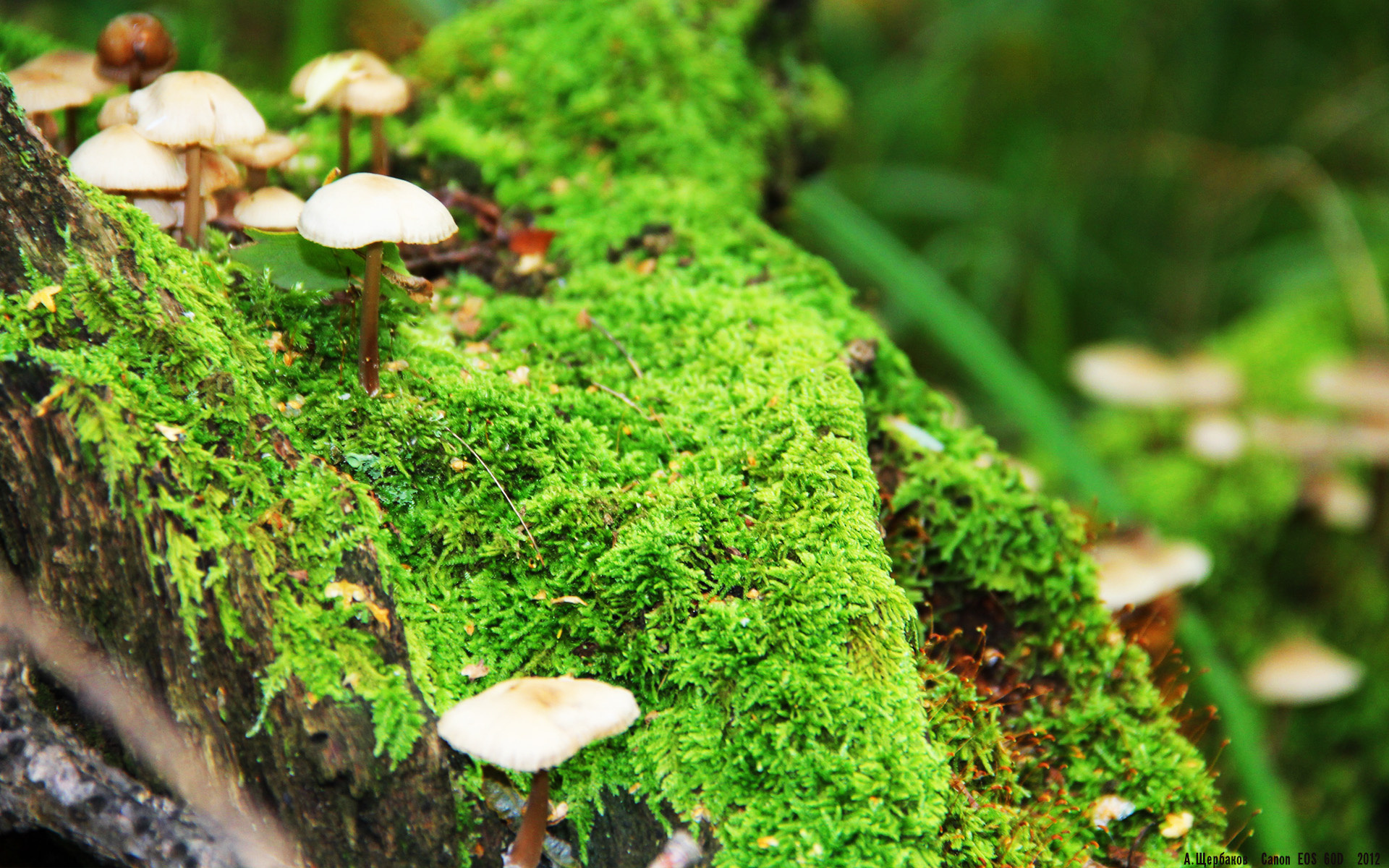 jiuyou-奥运备战官方发布最新训练标准，备战奥运会训练计划