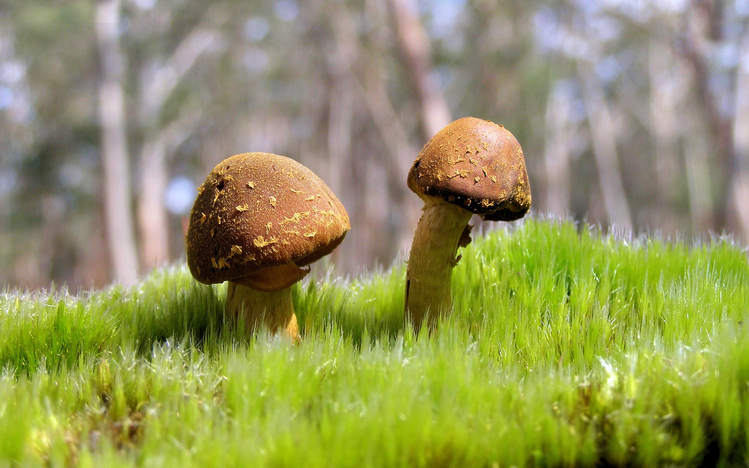 九游app下载-海湾者后防表现坚韧，拼抢积极，海湾旅行者