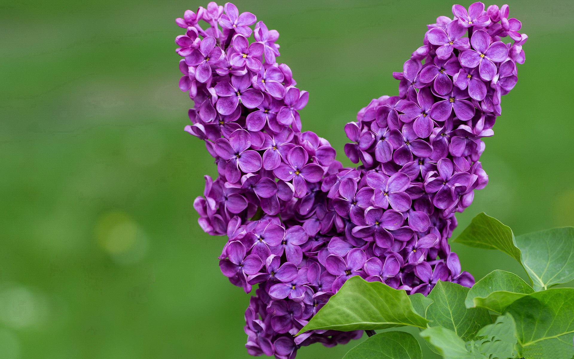 九游app下载-海湾者后防表现坚韧,拼抢积极,海湾旅行者