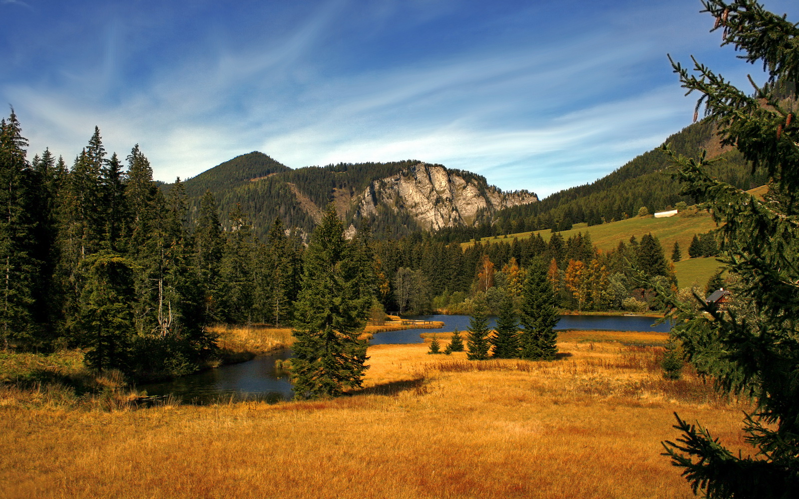 九游app下载-阵容结构是否影响节奏执行效率，阵容结构是否影响节奏执行效率的原因
