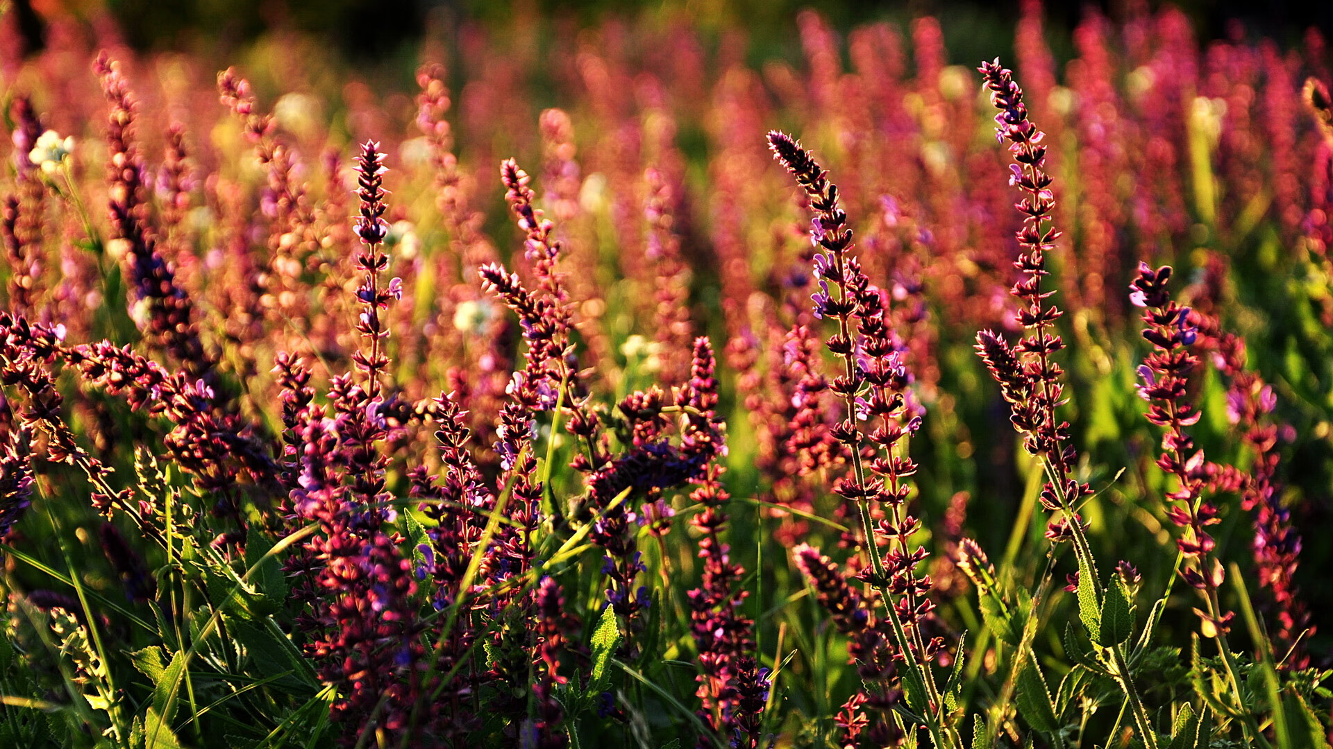 九游体育网页登陆-体育新闻中心训练营专题报道，体育新闻现场报道