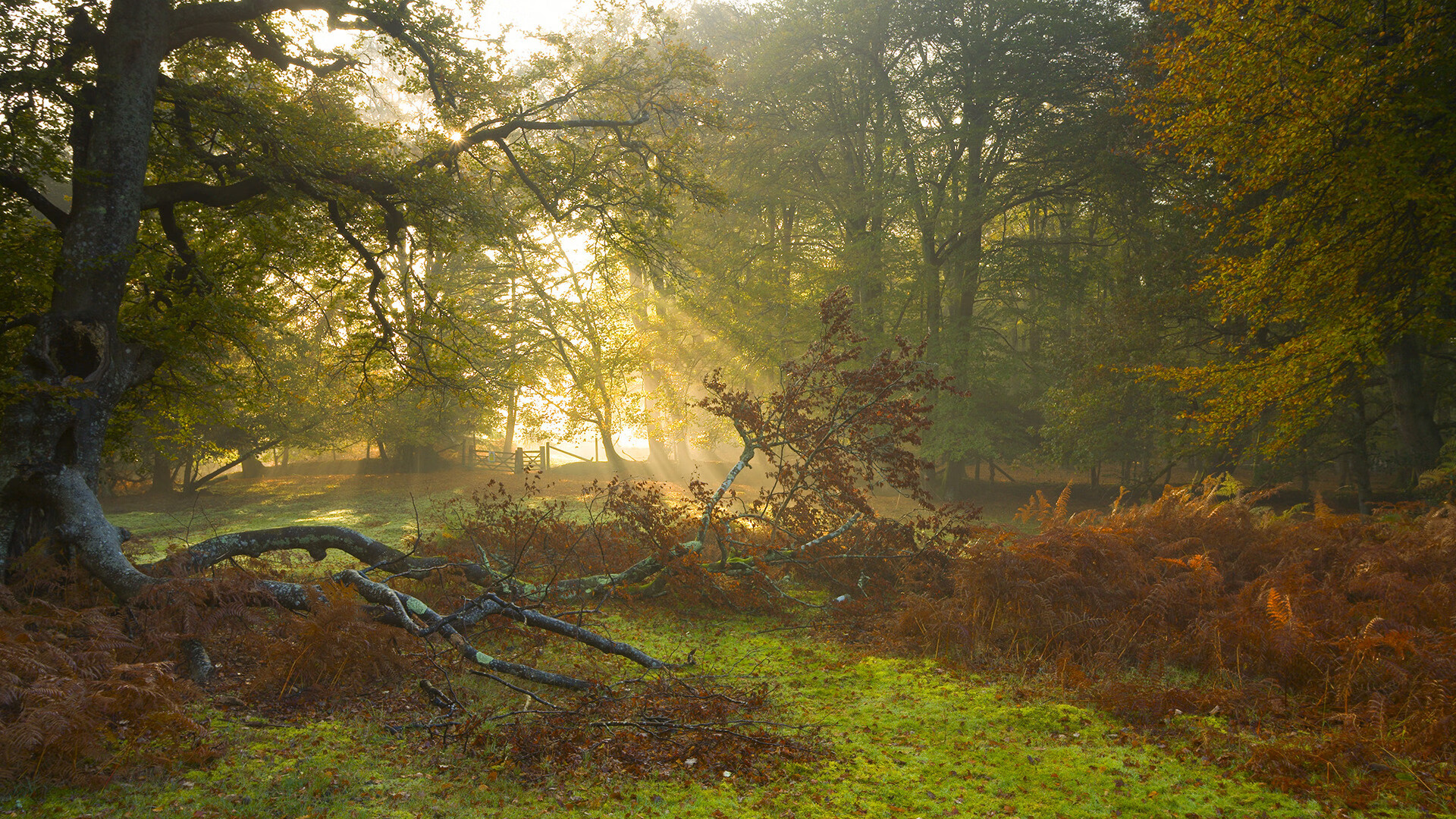 九游网址-女子篮球引入柔韧协调评估系统精准制定训练方案，篮球运动员柔韧性训练