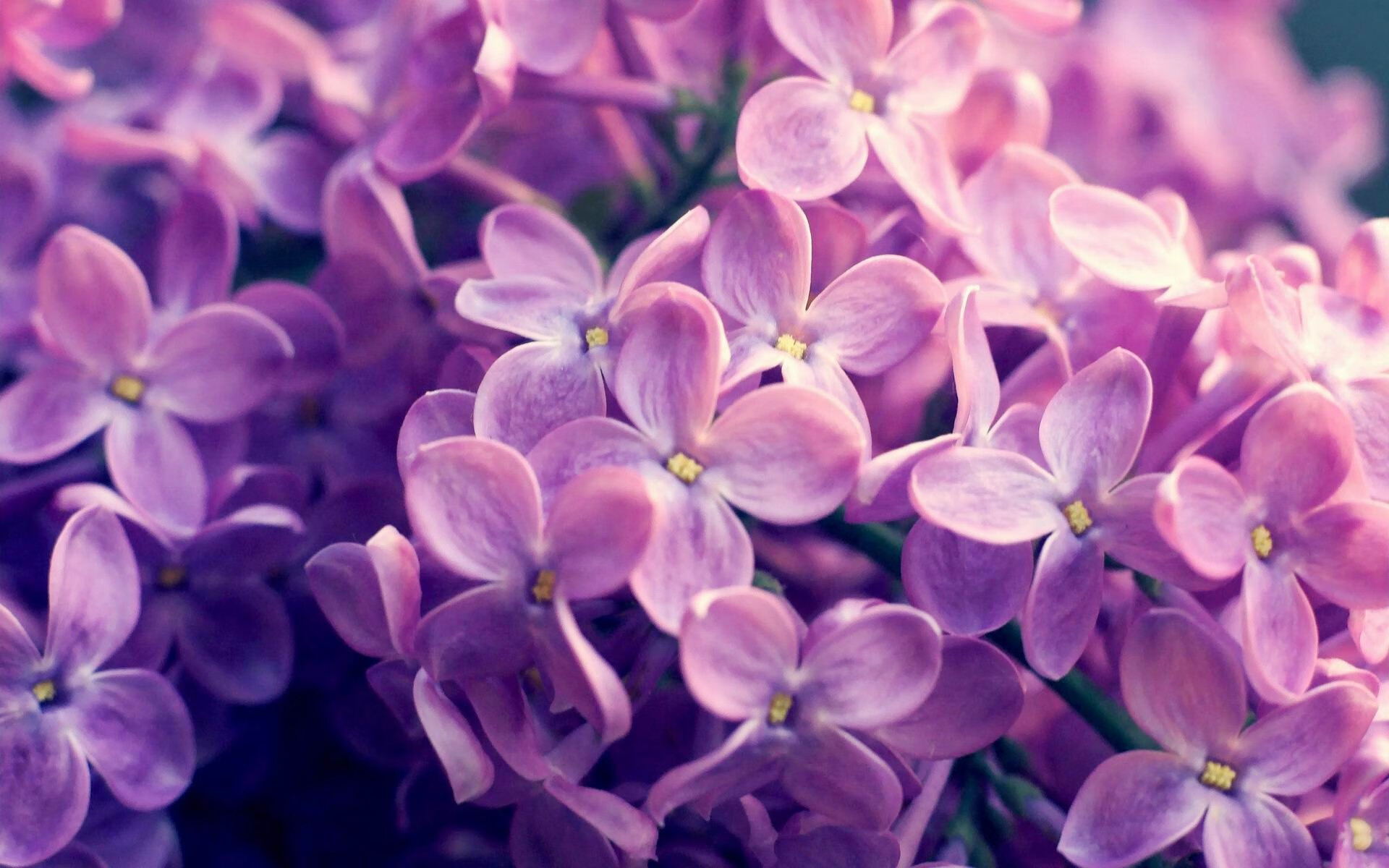 九游游戏-突尼斯蛙泳选手状态持续回暖,宁晋县宁博源食品厂