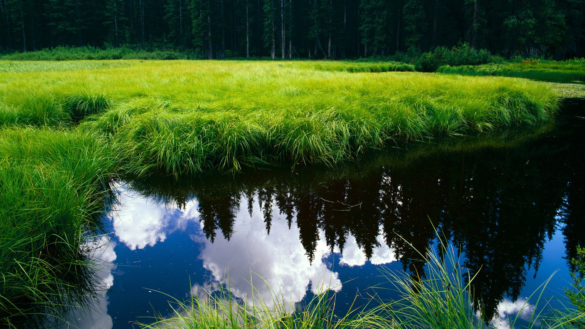 9体育-美国队冲线瞬间激发现场热情，美国队重新比赛