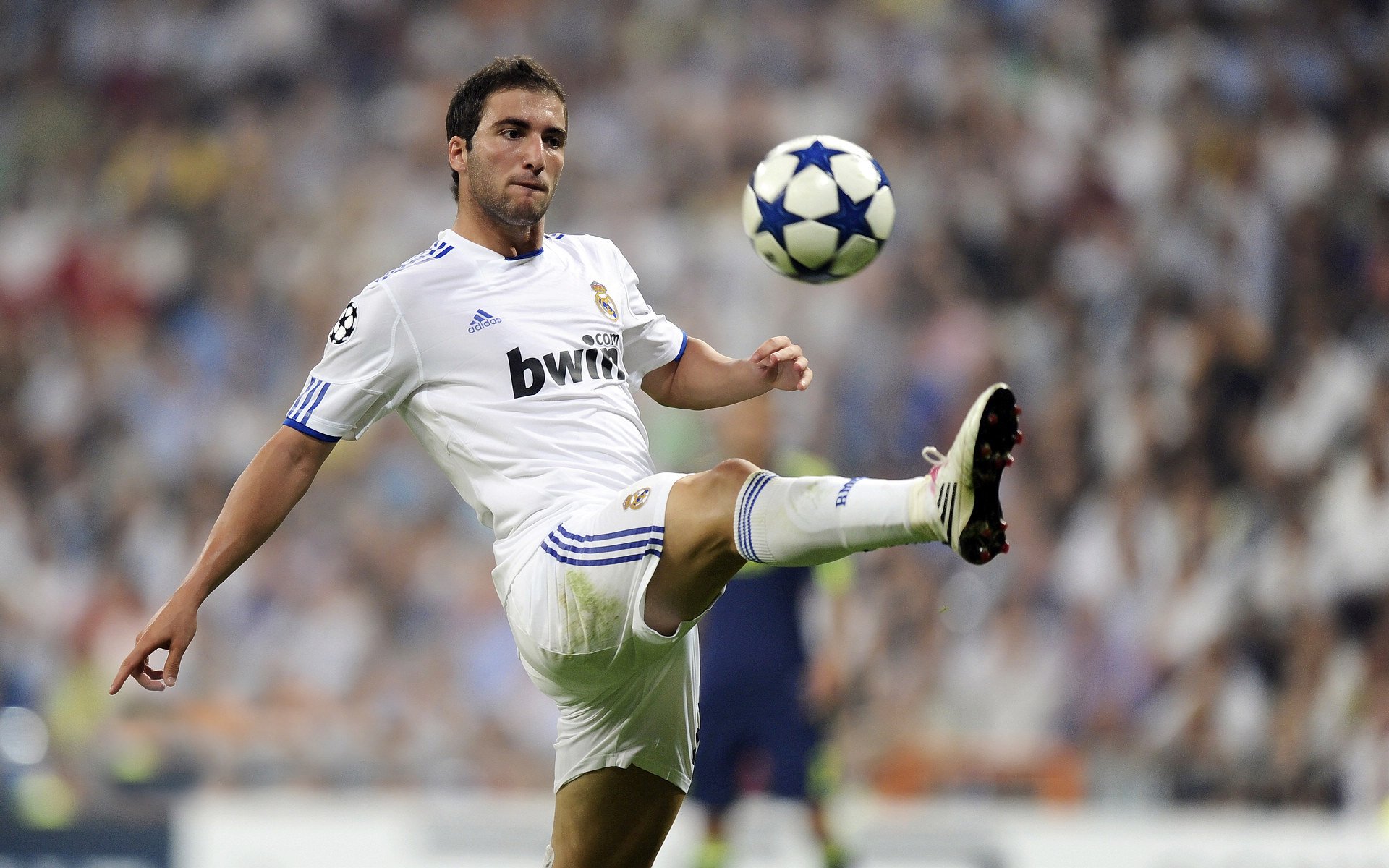 史上最年轻“冠军射手”一夜爆红,历史最年轻总冠军